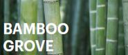 Zestaw VII: Bamboo Grove