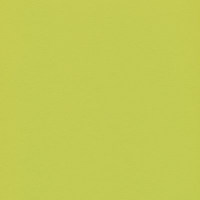 KA 429 jasny zielony