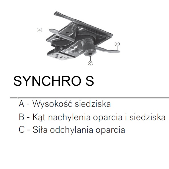 synchro S Raya