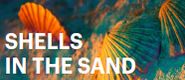 Zestaw XI: Shells in the sand