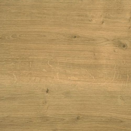 Dąb Arlington H3303