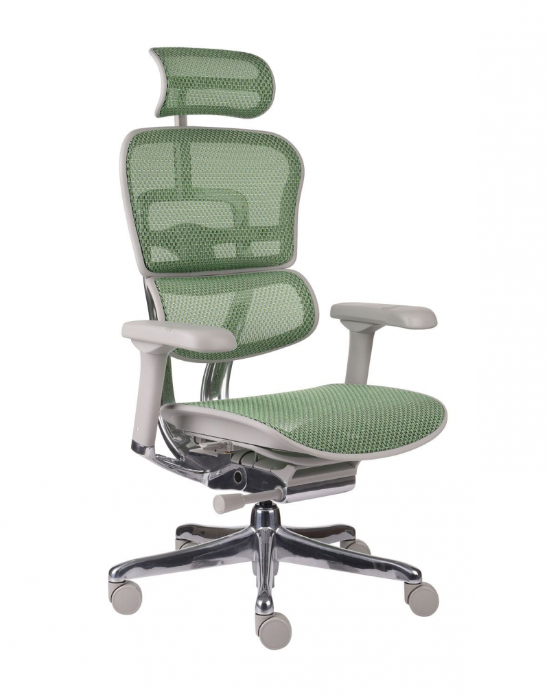 Fotel Ergohuman 2 Elite ST GS Green