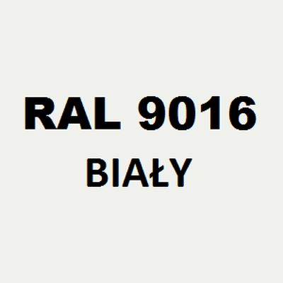 Biały RAL 9016