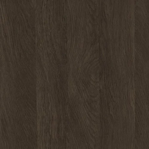 Dąb Dunin  PD 3114 PU