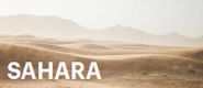 Zestaw I: Sahara