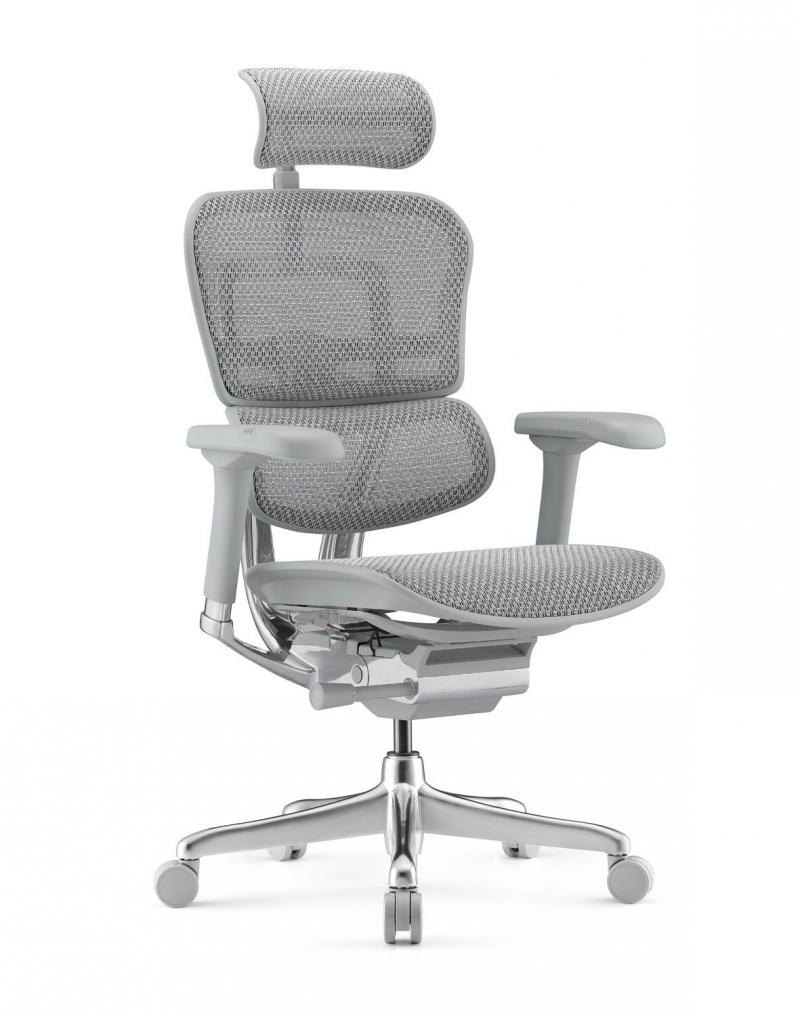Fotel Ergohuman 2 Elite ST GS Grey