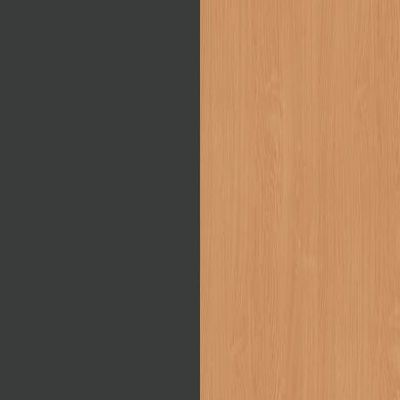 Antracyt/Buk Bavaria D381