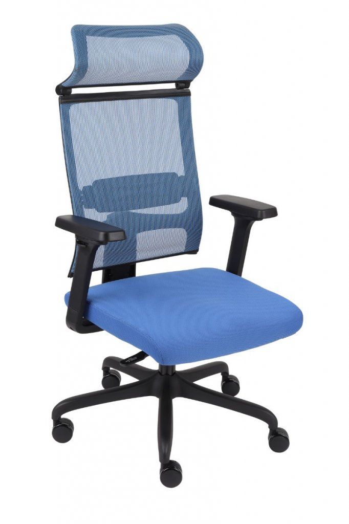 Fotel biurowy ERGOFIX TM03 niebieski