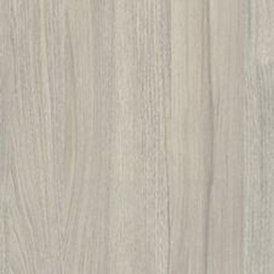 Wiąz Liberty Srebrny (symbol: K019 PW) 18 mm