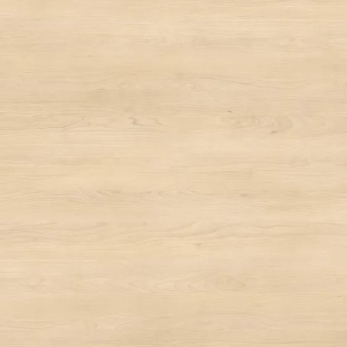 Brzoza Piaskowa H1732 ST9