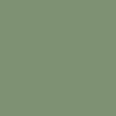 Hoker ARIZ 570CV siedzisko i oparcie tapicerowane - Salvia/Zielony / RAL 6021